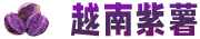 Logo img